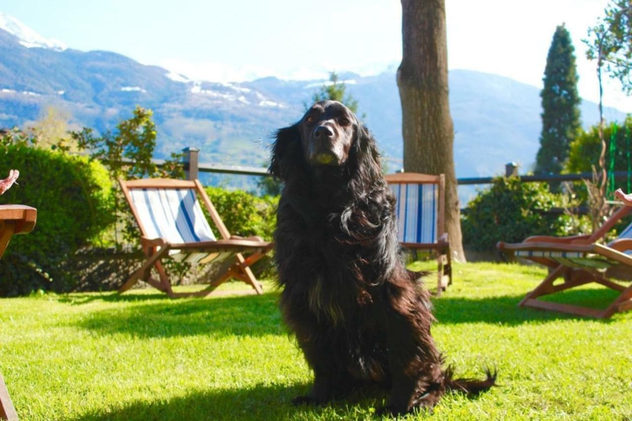 Bed & Breakfast Chez Berry Aosta Exterior photo